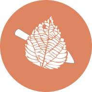 生火餐桌 ，共做共享共樂  NT$1300 起 花蓮好好玩