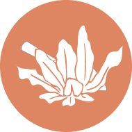 生火餐桌 ，共做共享共樂  NT$1300 起 花蓮好好玩