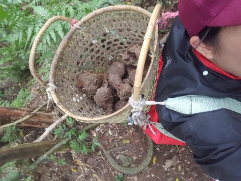 薯榔，背簍