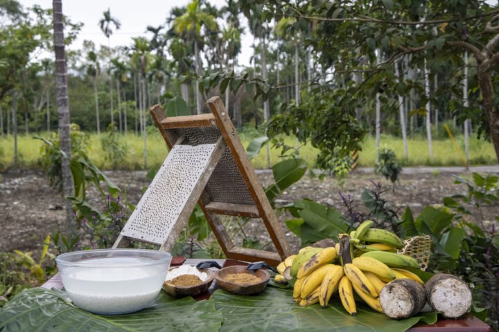 1022FANG17 scaled e1758435283534