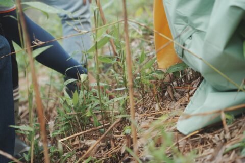 1748133418735 e1758778558644