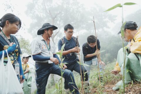 1748133419672 e1758778535284