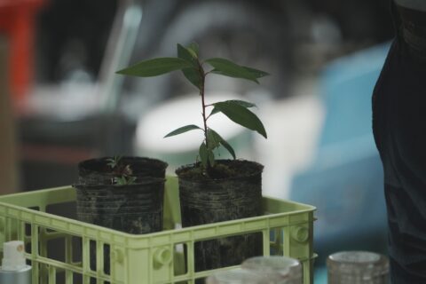 1748133429818 e1758778715877