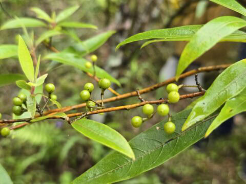 20250524 162832 scaled e1758778442675