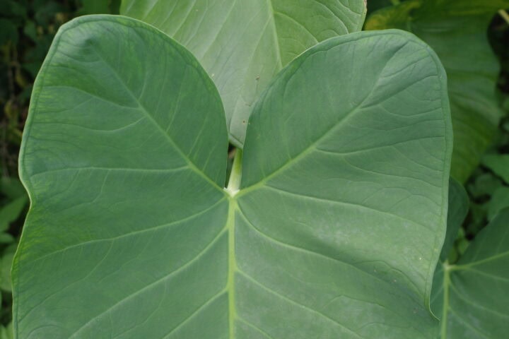 R0000875 scaled e1758435444448