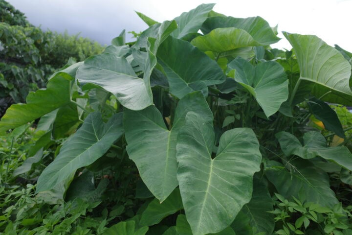 R0000880 scaled e1758435270900