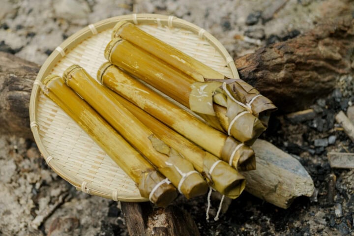 DSC01347 scaled e1758434904616