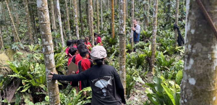 IMG 9110 scaled e1758423340339