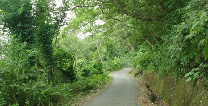 R0002683 e1758419187406