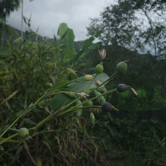 R0001618 e1763965611309