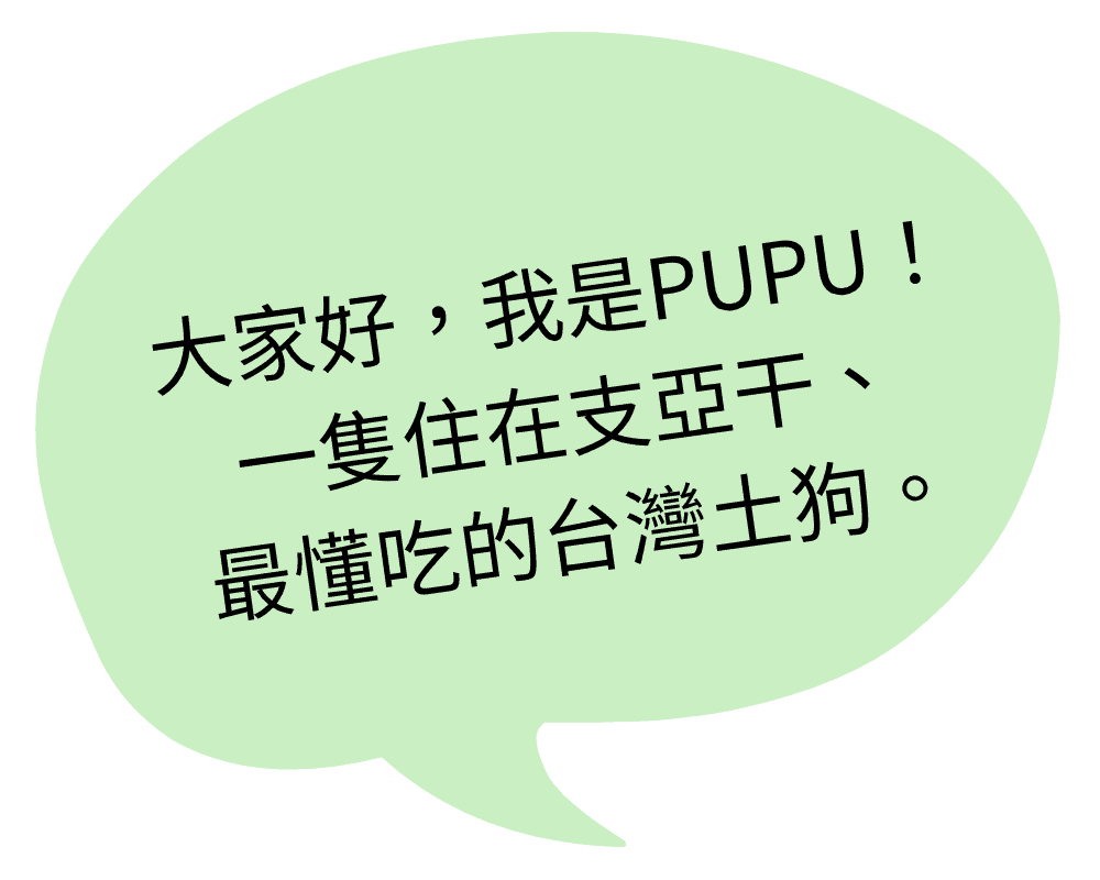 禮盒web 3