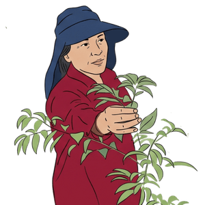 禮盒二修 10 1